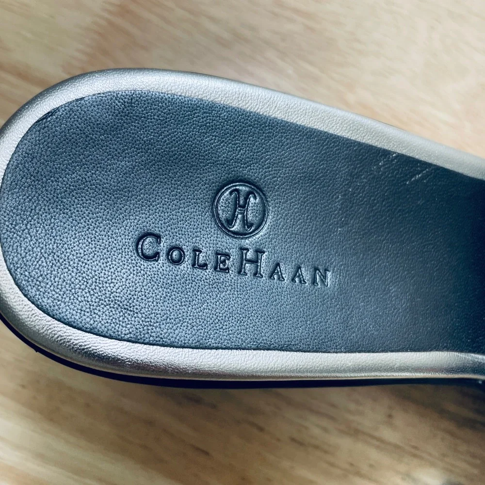 Cole Haan Nike Air Metallic Silver Striped‎ Wedge Sandals Platform Slides 9B